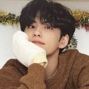 다쿠아즈집 이미지
