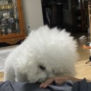 누나농장 이미지