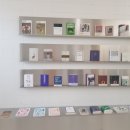 고양이 목욕탕 이미지