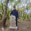 사과목장 이미지