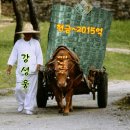 부자 이미지
