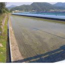 정재용농장 이미지