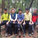 우면산6-9 이미지