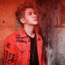 단디 카카오 검색결과