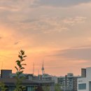 필식품 | 육아맘 하체 관리 고민 레그필 내돈내산 후기