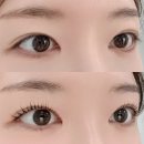 인천광역시교통연수원 앞 | 계산동 속눈썹펌 쏭브로우 : 또렷한 뷰러펌 후기