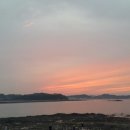 석향 이미지