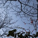 금호동 장미아파트 이미지