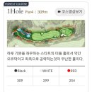 도그 포레스트 | 수도권 2인 라운딩 포레스트힐cc 12홀 노캐디 후기, 가격, 코스공략
