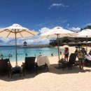 샹그릴라 이미지