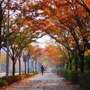 잠시 쉬어 이미지