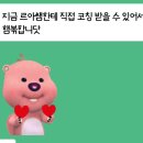 하비컨설팅