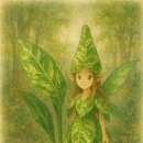 딜라이트 이미지