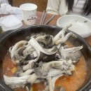 백송짜글짜글 이미지