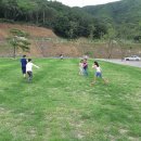 더숲캠핑장 Daum카페