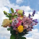 유동농장 이미지