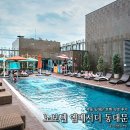 올레지던스모텔 | 노보텔 엠베서더 동대문 수영장 조식 스위트룸 노보텔 동대문 호텔 후기