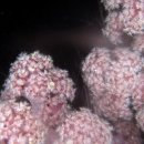 남해-313 이미지