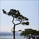 달맞이근린공원 이미지