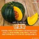 화정채소