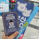 금고양이 | 2025 부산 벡스코 캣쇼 고양이 박람회 방문 후기