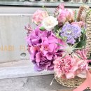 사파동295 이미지