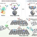 가천의대 내 이미지