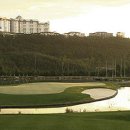 오투리조트 골프(대중제 18홀) 이미지