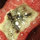 데일리연합의원 이미지