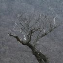 강가황토펜션 이미지