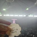 peony | [권진아 콘서트] 2026 꽃말 콘서트: Peony, another dream 후기