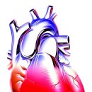 우리척병원 이미지