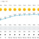 RE:영월 백운산 동강 할미꽃산행 일기예보 이미지