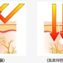 광석 전자신문