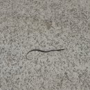 남해-267 이미지