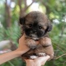 멍이요 천안지점 이미지