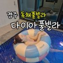 경주 여행 숙소 _ 수영장이 있는 독채풀빌라 펜션 다이아풀빌라 추천