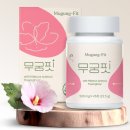 🌺무궁화 다이어트, 정말 효과 있을까? 성공 후기부터 부작용까지 총정리
