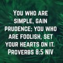 Bible Reading - Proverbs 8:1~9 이미지