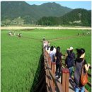 갈대한우촌 이미지