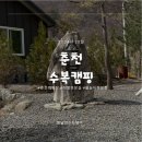 수복 | 계곡 물놀이하기 좋은 개별 화장실 춘천 캠핑장 ｜수복캠핑｜후기