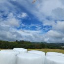 초원의 언덕 이미지