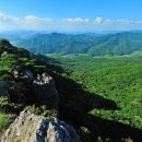 양림목장 이미지