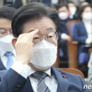 쌍방울 전 비서실장 "김성태와 이재명 가까운 관계"…이화영 재판 증언 이미지