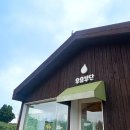 [제주 / 우유부단] 성이시돌목장 유기농우유로 만든, 부드러운 아이스크림🍦