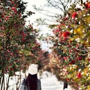 한두목장 이미지