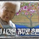 ‘인간극장’ 군자의 시간은 거꾸로 흐른다···75세에 공부 시작해 10년 만에 ‘과수석’ 군자씨 이미지