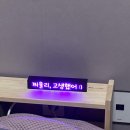 데스크리움] 레터링 네온바 구매후기_ 찌울리,고생했어 :)