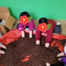 신광초등학교 병설유치원 이미지