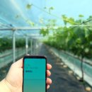 농업회사법인 가온(주) 이미지